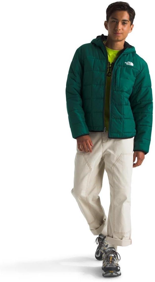 imageTHE NORTH FACE Boys Reversible Shasta Full Zip Hooded JacketEvergreen
