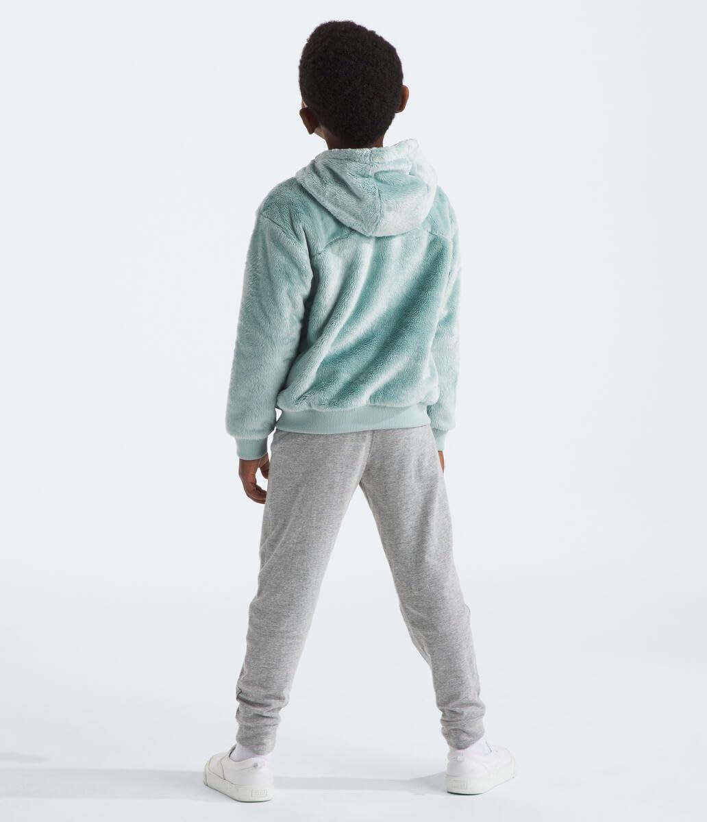 imageTHE NORTH FACE Kids Osito Full Zip Fleece Hoodie Recycled Polyester Fleece Jacket With Ribbed Cuffs ampamp HemMuted Pine
