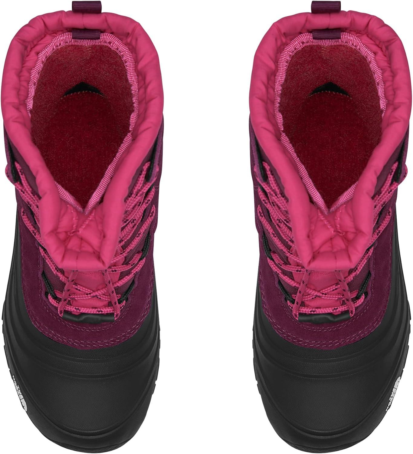 imageTHE NORTH FACE Teen Alpenglow V Waterproof BootBoysenberryTnf Black