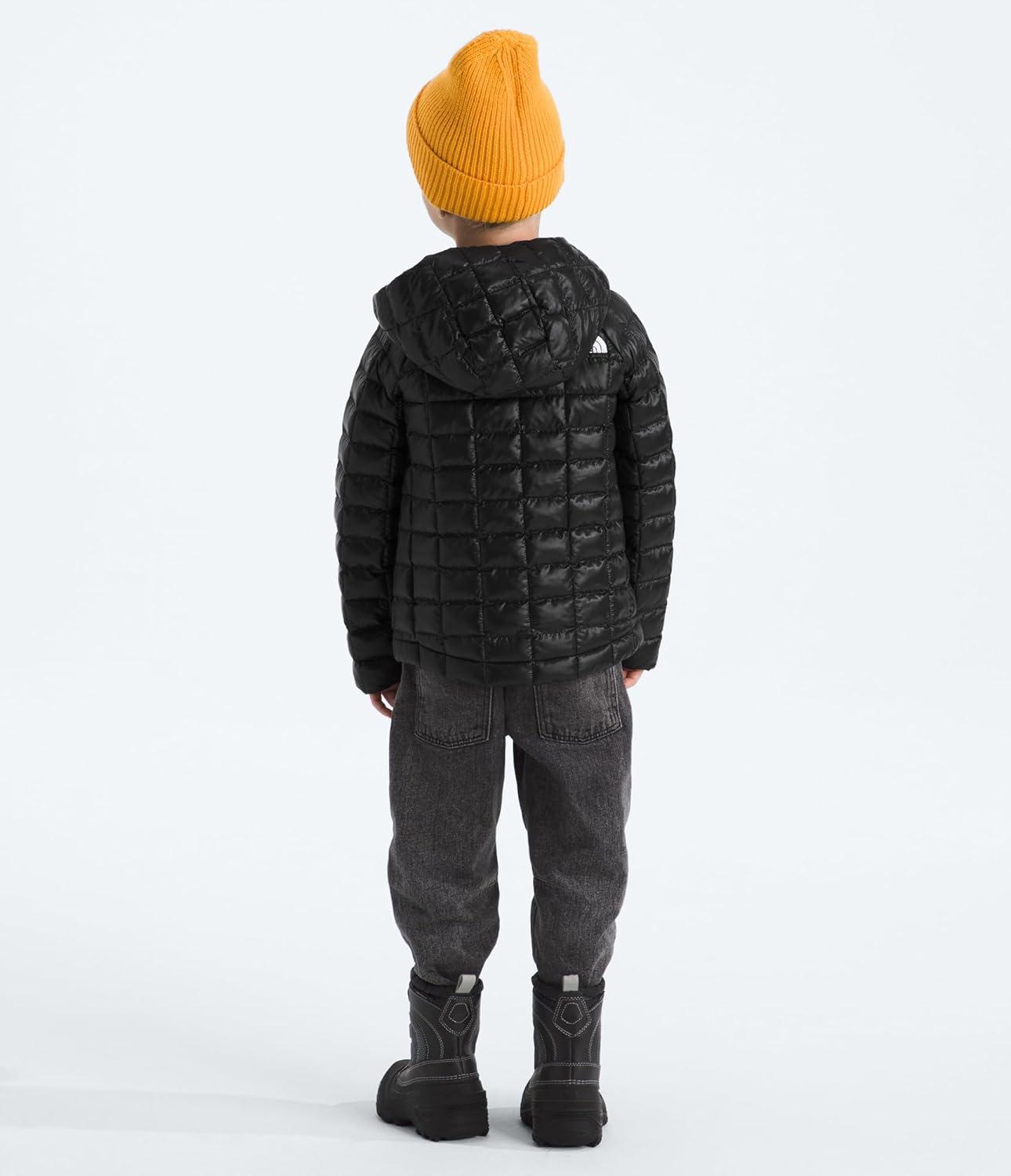 imageThe North Face unisexbaby Thermoball Hooded Jacket Highloft Insulation Ripstop Fabric 3 Piece Hood Chin GuardTnf Black