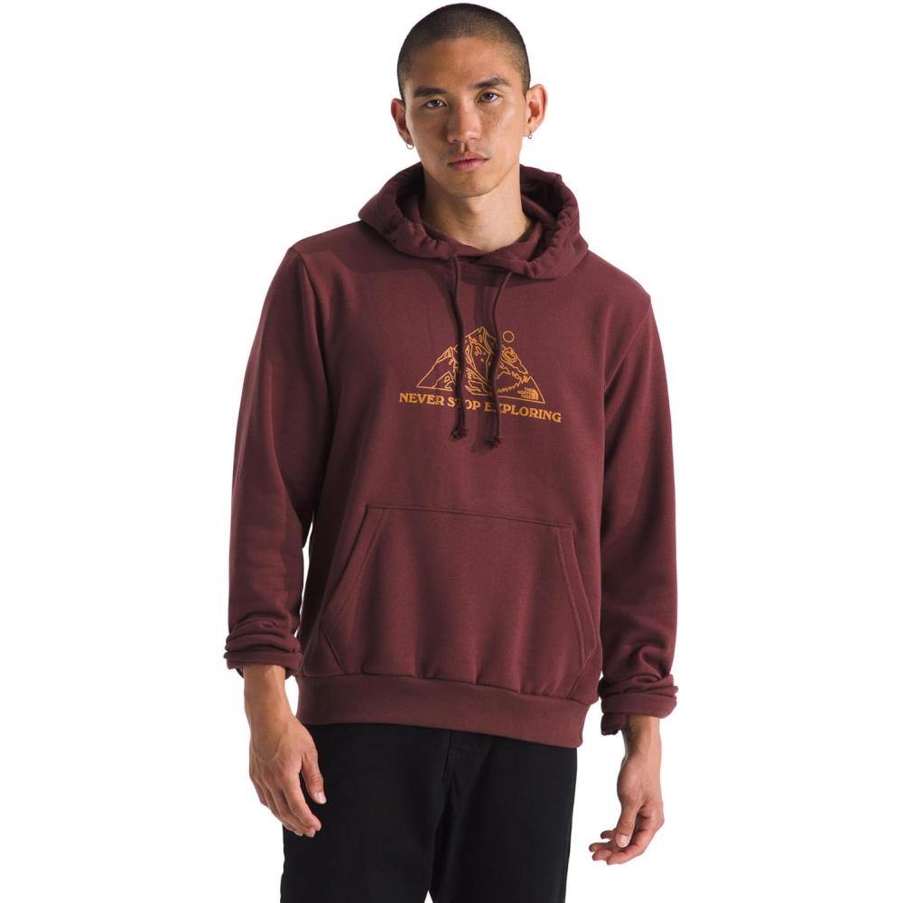 imageTHE NORTH FACE Mens Evolution Tnf Mtn HoodieSumac