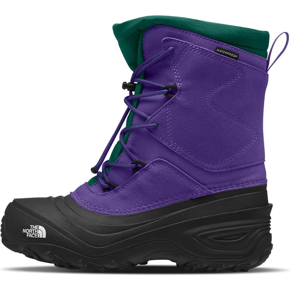 imageTHE NORTH FACE Teen Alpenglow V Waterproof BootPeak PurpleEvergreen