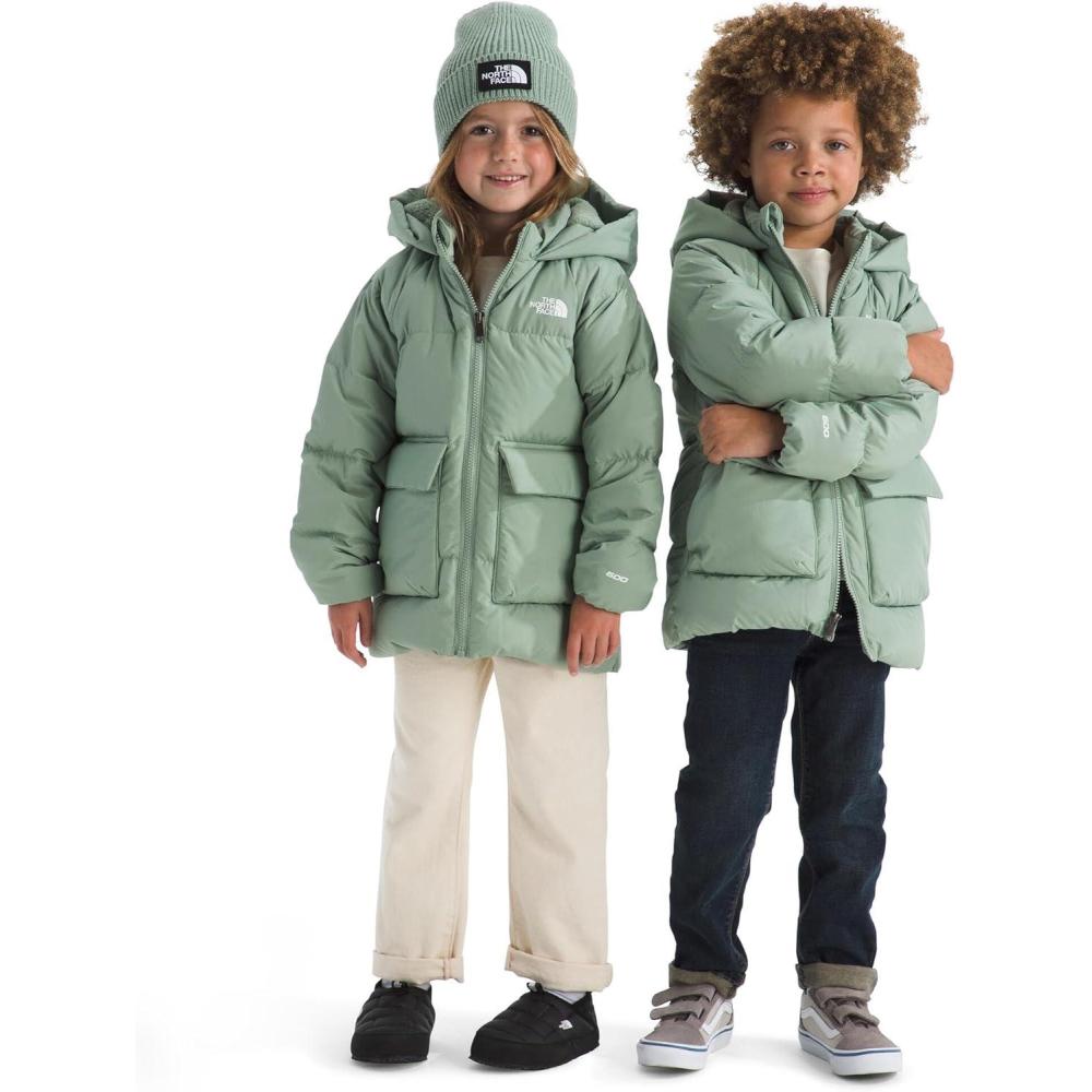 imageTHE NORTH FACE unisexbaby North Down Fleecelined ParkaSlate Moss