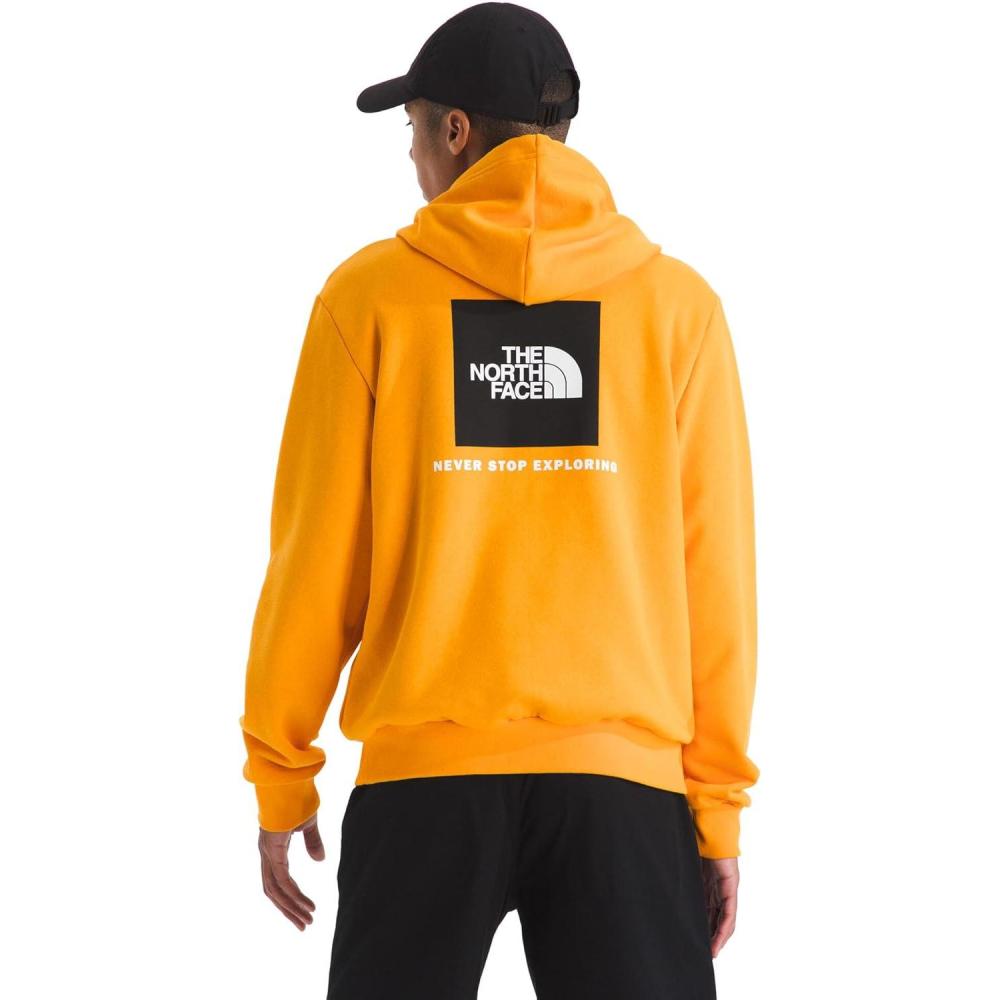 imageThe North Face mens Evolution Box Nse HoodieSummit Gold