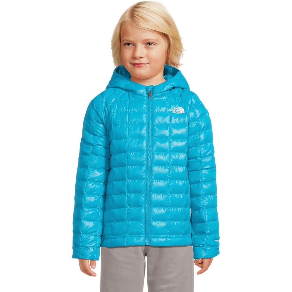 imageThe North Face unisexbaby Thermoball Hooded Jacket Highloft Insulation Ripstop Fabric 3 Piece Hood Chin GuardMeridian Blue