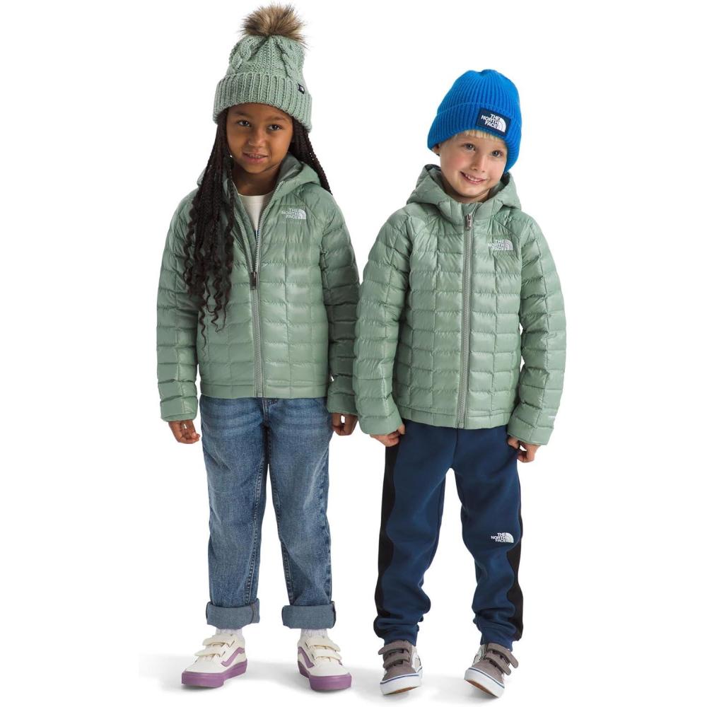 imageThe North Face unisexbaby Thermoball Hooded Jacket Highloft Insulation Ripstop Fabric 3 Piece Hood Chin GuardSlate Moss