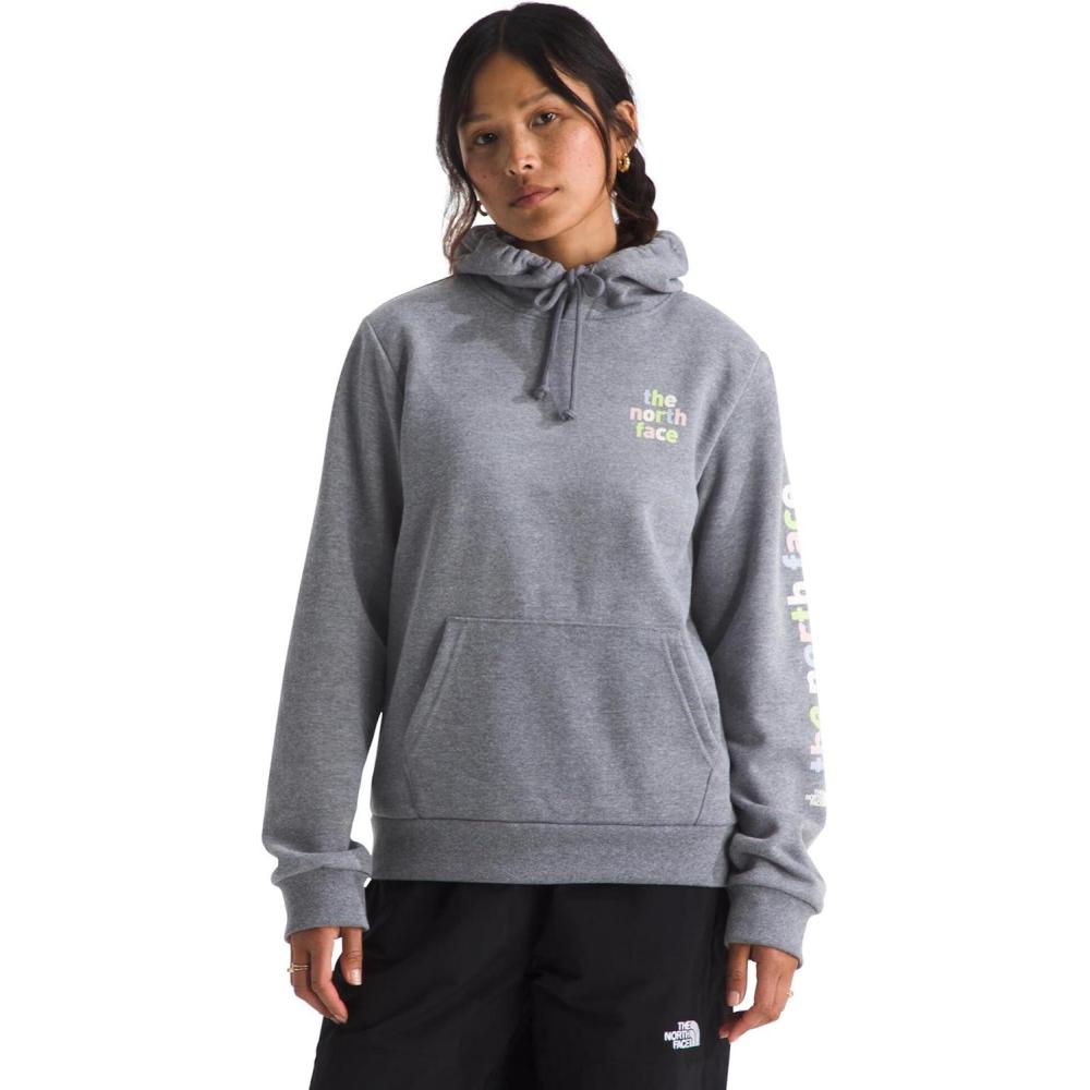 imageThe North Face womens Evolution Proud HoodieTnf Mid Grey Heather