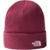Boysenberry