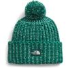 imageTHE NORTH FACE Cozy Chunky Cabin Beanie  Deep Fit Cuffed Winter Hat for Men ampamp Women Removable Pom ampamp Textured Cable DetailEvergreenMuted PinePale GreenOxidized Bronze