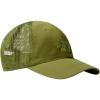 Forest Olive