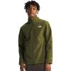 Forest Olive