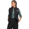 Tnf Black-npf