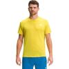 Dijon Yellow