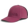 Cyber Berry/Boysenberry
