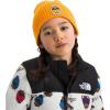 Summit Gold/Nuptse Bear Patch