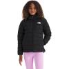 Tnf Black/Smoked Pearl