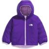 Lite Lilac