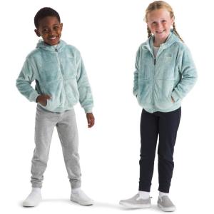 THE NORTH FACE Kids’ Osito Full Zip Fleece Hoodie | Recycled Polyester Fleece Jacket With Ribbed Cuffs & Hem(Muted Pine)