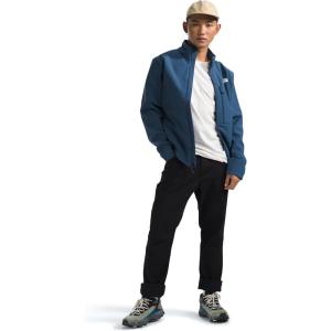 THE NORTH FACE Men’s Apex Bionic 3 Jacket (Standard & Big Size)(Shady Blue Heather)