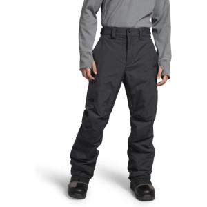 THE NORTH FACE Men’s Freedom Insulated Pant(Asphalt Grey-npf)