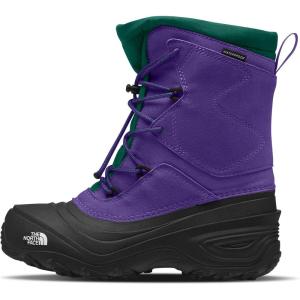 THE NORTH FACE Teen Alpenglow V Waterproof Boot(Peak Purple/Evergreen)