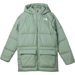 THE NORTH FACE Teen North Down Fleece-Lined Short Parka | 600 Fill Waterfowl Down, Water Repellent, Insulated Hood, & Pockets(Slate Moss)