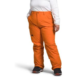 THE NORTH FACE Women’s Freedom Insulated Pant (Standard & Plus Size) | Waterproof for Snow Sports, Gaiters, Adjustable Waist(Mandarin)