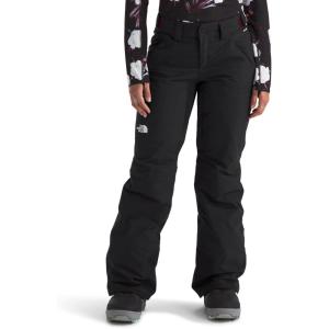 THE NORTH FACE Women’s Freedom Insulated Pant (Standard & Plus Size) | Waterproof for Snow Sports, Gaiters, Adjustable Waist(Tnf Black-npf)