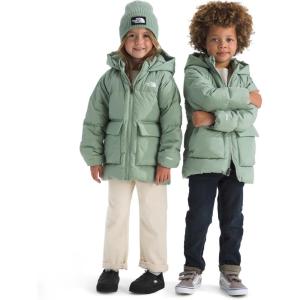 THE NORTH FACE unisex-baby North Down Fleece-lined Parka(Slate Moss)