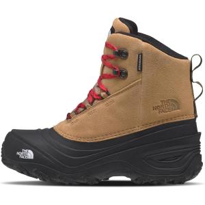 THE NORTH FACE unisex-child Chilkat V Lace Waterproof (Youth)(Almond Butter/Tnf Black)
