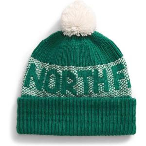 The North Face Unisex-Adult Retro Cabin Beanie(Evergreen/White Dune)