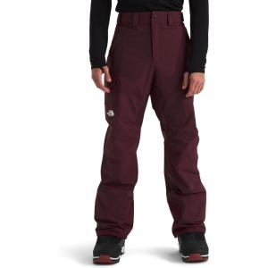 The North Face mens Freedom Pant(Alpine Plum)