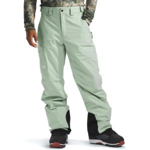 The North Face mens Freedom Pant(Misty Sage)