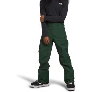 The North Face mens Freedom Pant(Pine Needle)