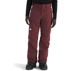 The North Face mens Freedom Pant(Sumac)
