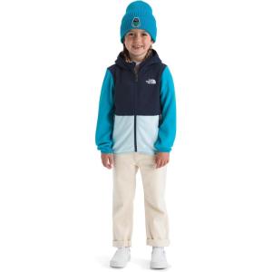 The North Face unisex-baby Glacier Lightweight Full Zip Hooded Jacket(Summit Navy/Meridian Blue/Polar Haze)