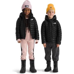The North Face unisex-baby Thermoball Hooded Jacket | High-loft Insulation, Ripstop Fabric, 3 Piece Hood, Chin Guard(Tnf Black)