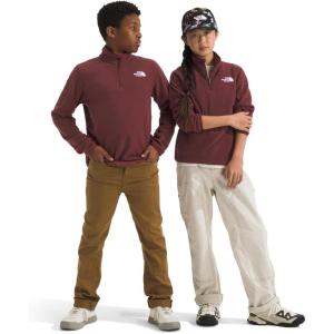 The North Face unisex-child Glacier 1/4 Zip Pullover(Sumac)