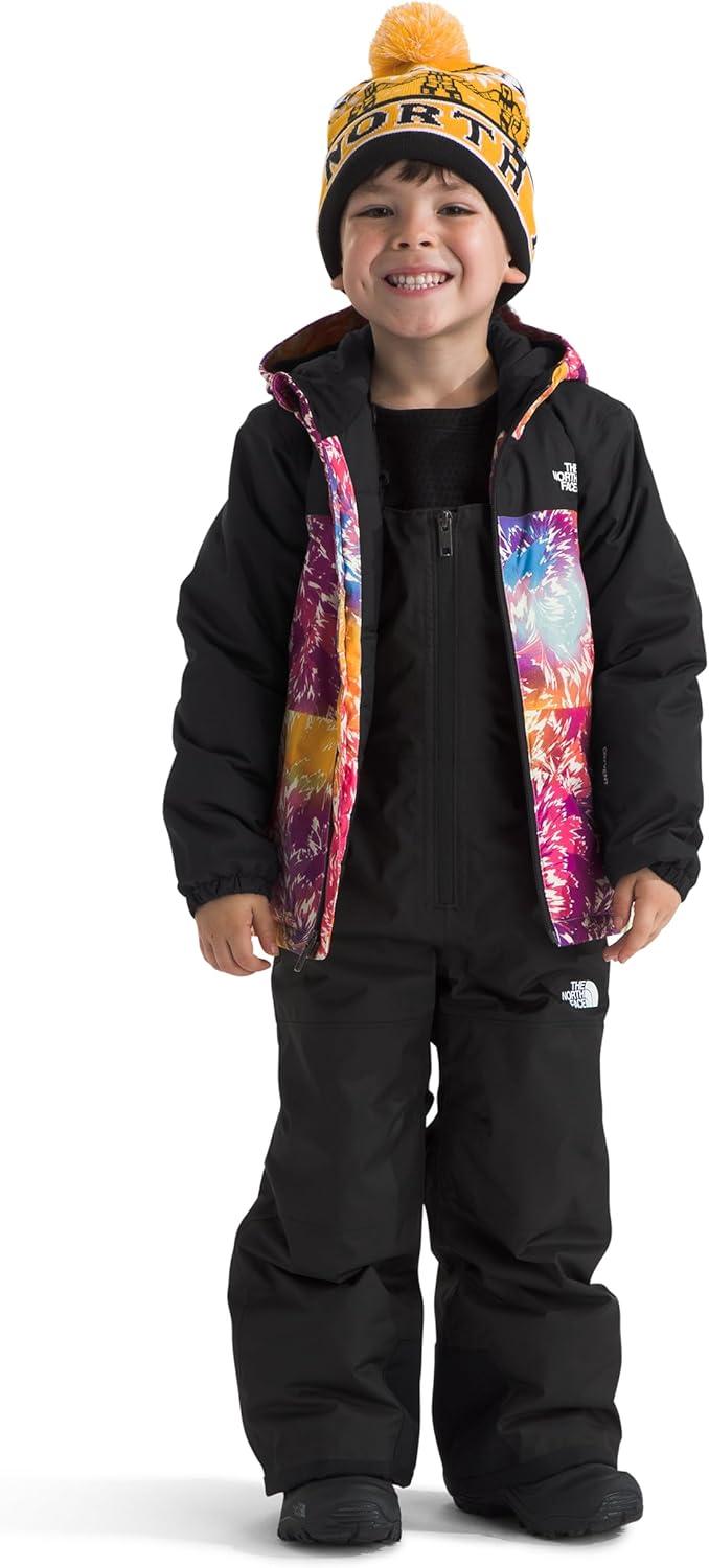 imageThe North Face Kids Freedom Insulated JacketRadiant Poppy Blowing Wind Print