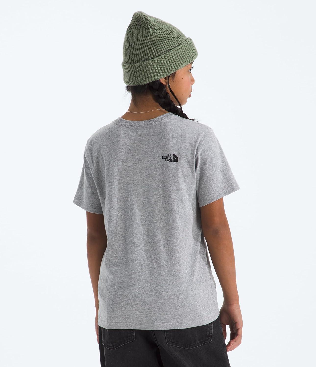 imageThe North Face UnisexAdult Evolution Half Dome ShortSleeve TeeTnf Pale Grey Heather