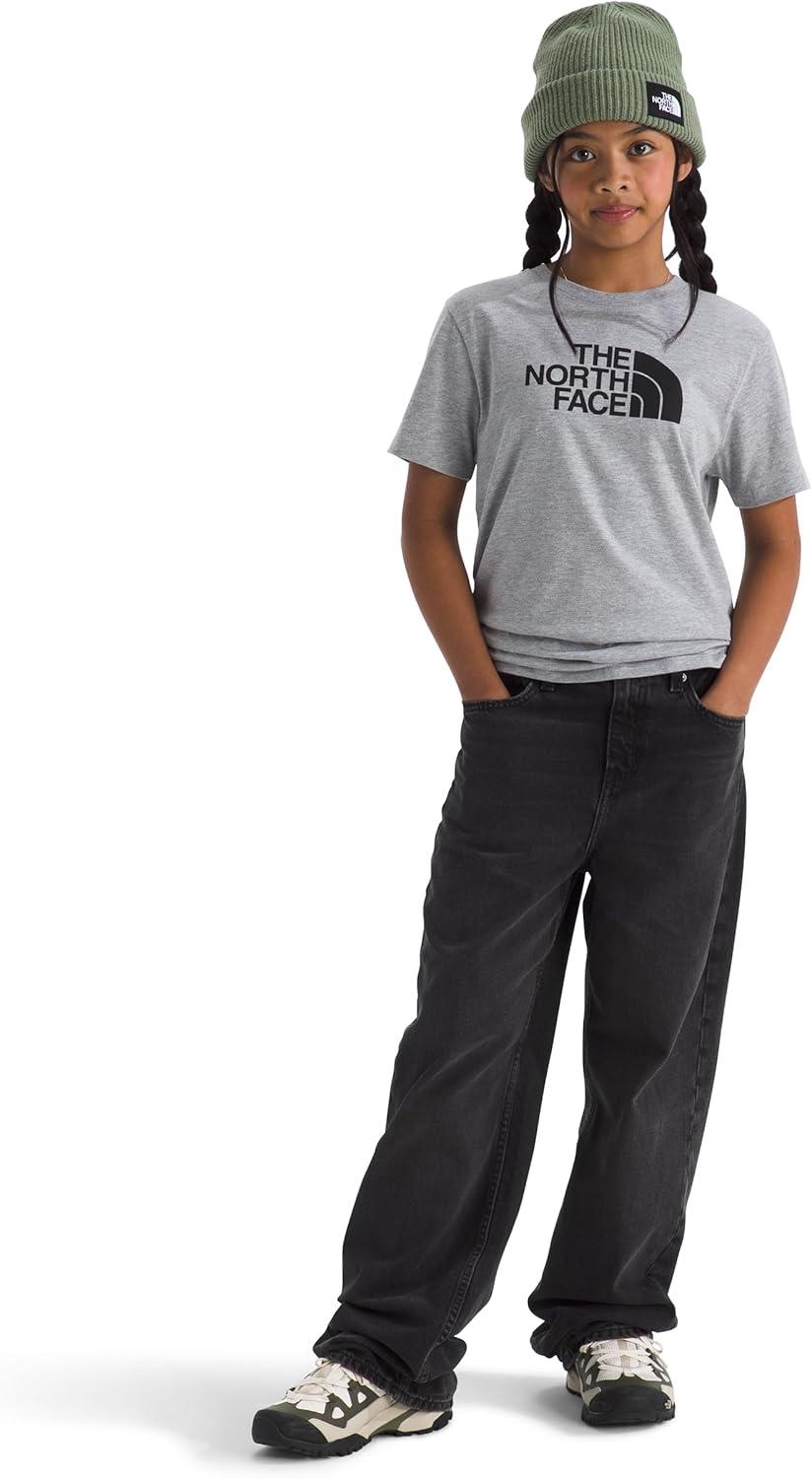 imageThe North Face UnisexAdult Evolution Half Dome ShortSleeve TeeTnf Pale Grey Heather