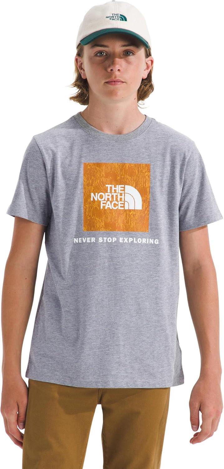 imageThe North Face UnisexAdult Evolution Print Box Logo NSE ShortSleeve TeeTnf Pale Grey HeatherSummit Gold Regenerative Ink Print