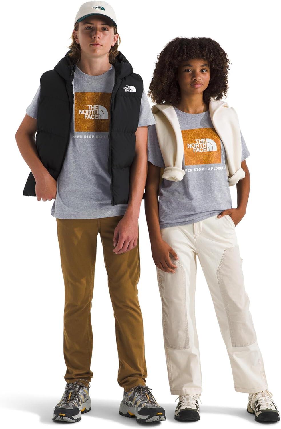imageThe North Face UnisexAdult Evolution Print Box Logo NSE ShortSleeve TeeTnf Pale Grey HeatherSummit Gold Regenerative Ink Print
