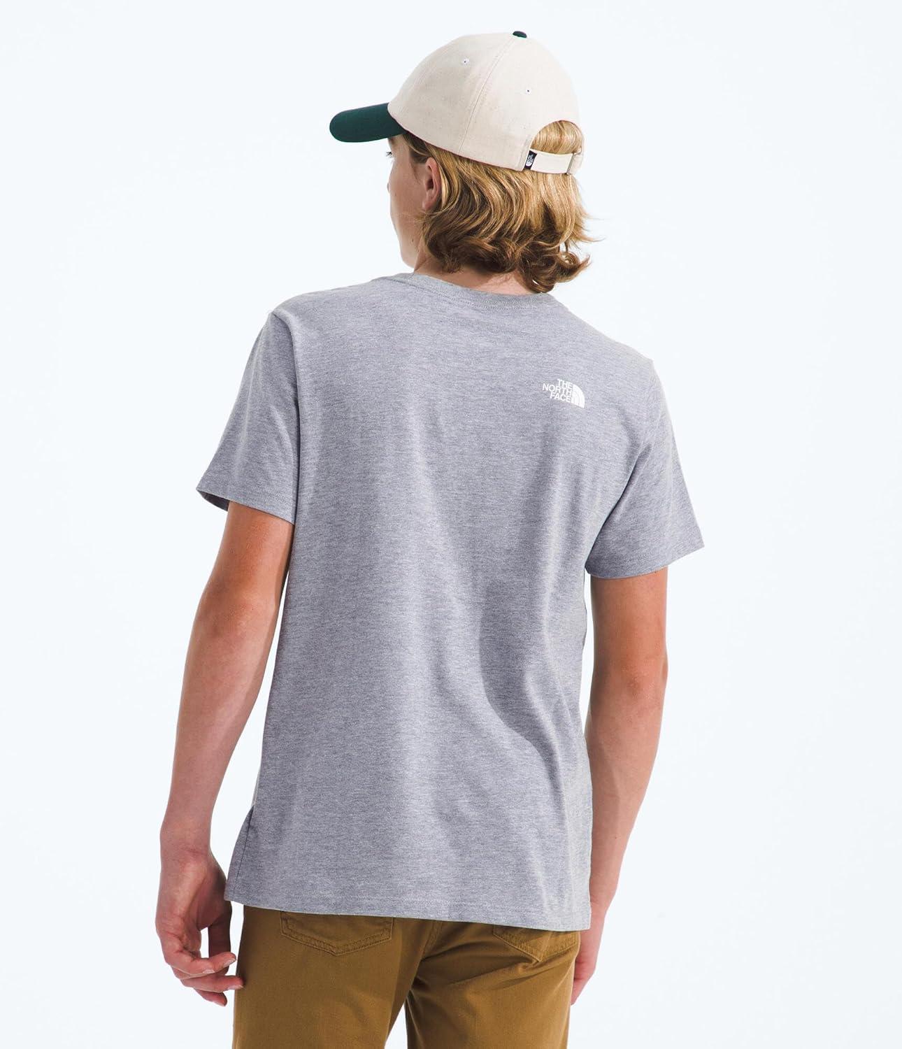 imageThe North Face UnisexAdult Evolution Print Box Logo NSE ShortSleeve TeeTnf Pale Grey HeatherSummit Gold Regenerative Ink Print