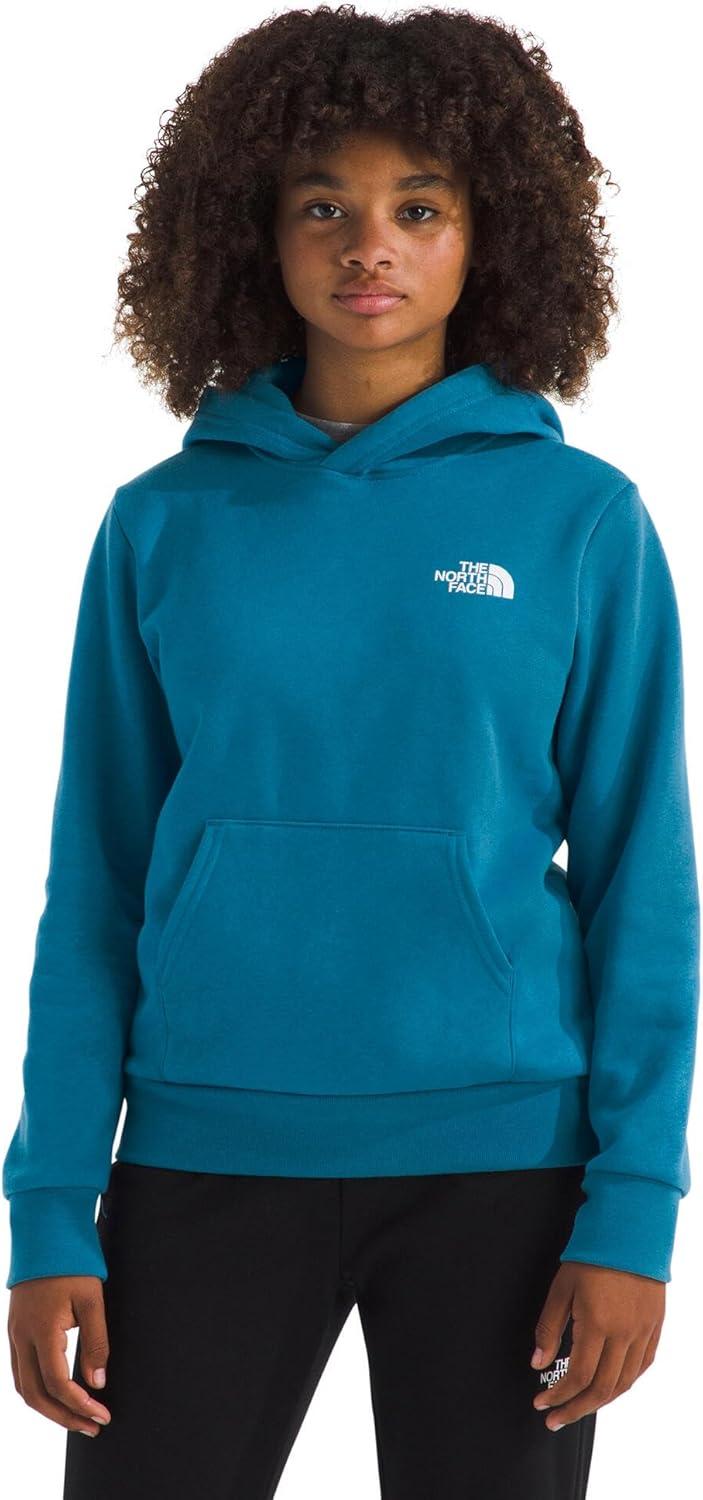 imageThe North Face Unisexchild Evolution Box Logo Nse Pullover HoodieDusk Blue
