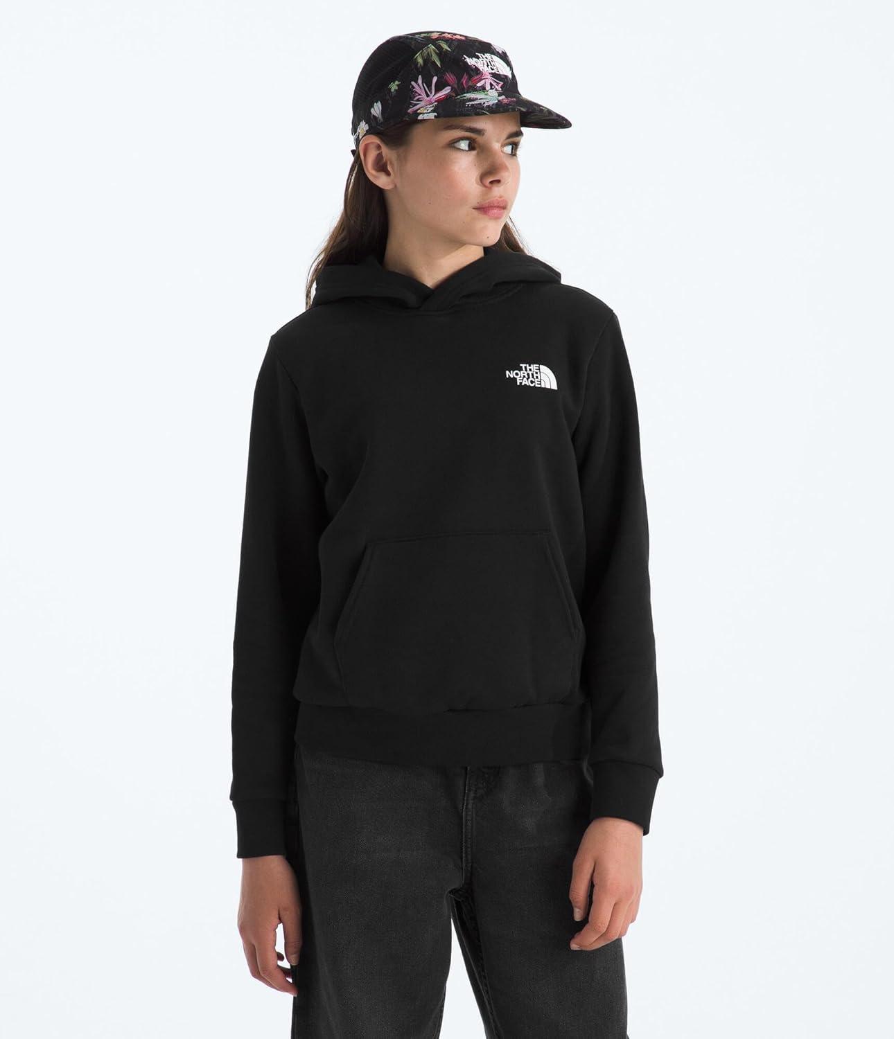 imageThe North Face Unisexchild Evolution Box Logo Nse Pullover HoodieTnf Black