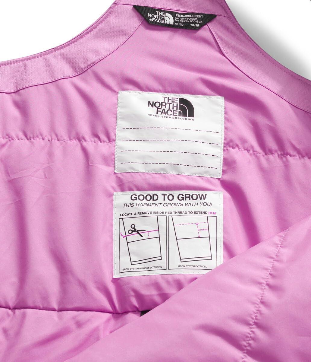 imageThe North Face unisexadult Freedom Insulated BibDragonfruit