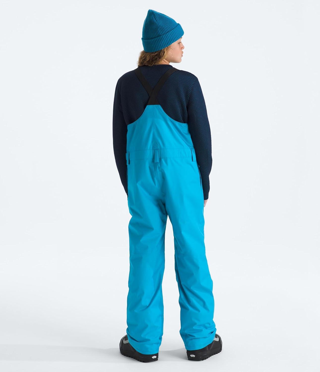 imageThe North Face unisexadult Freedom Insulated BibMeridian Blue