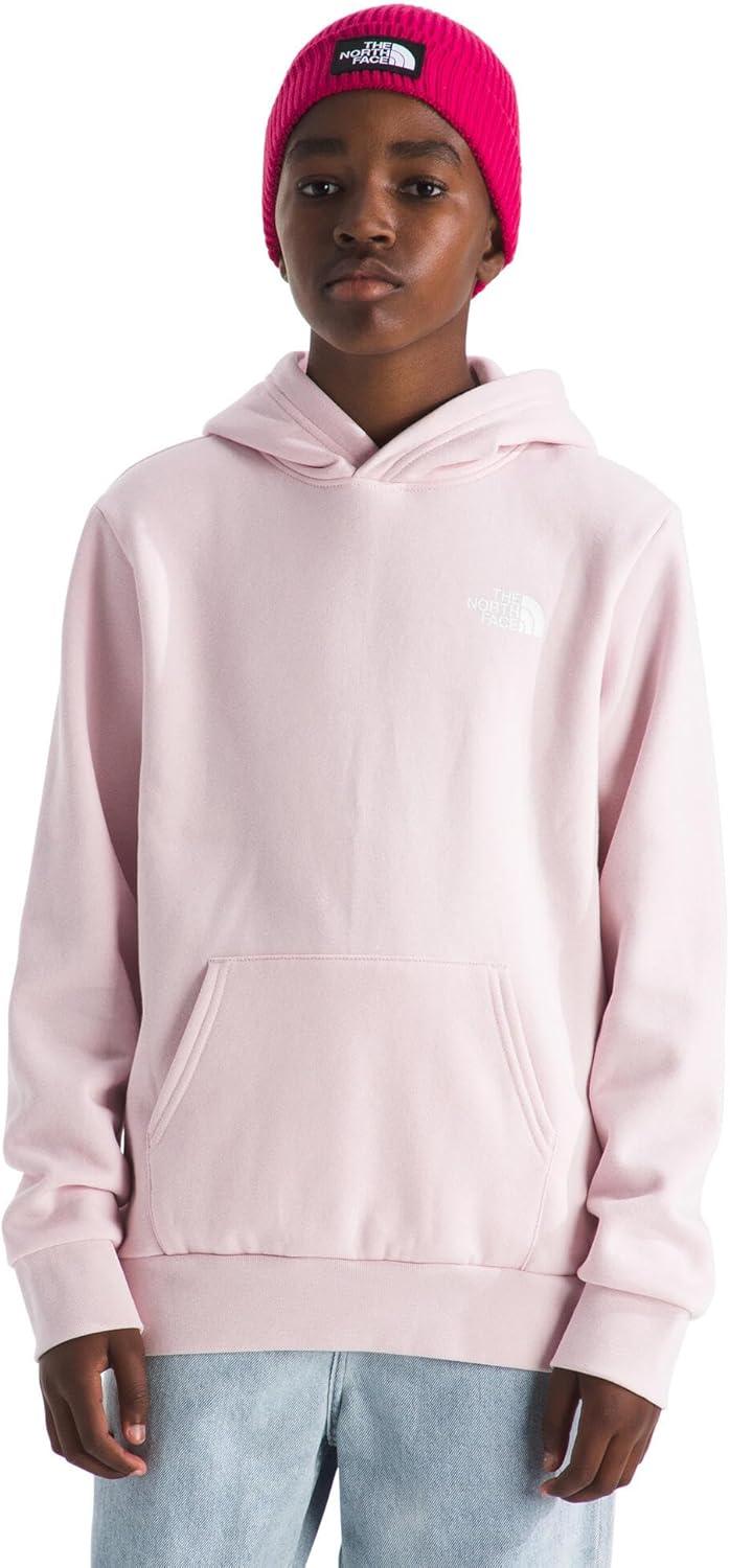 imageThe North Face unisexchild Evolution Box Nse Pullover Graphic HoodiePale BlossomLali Guran Regenerative Ink Print