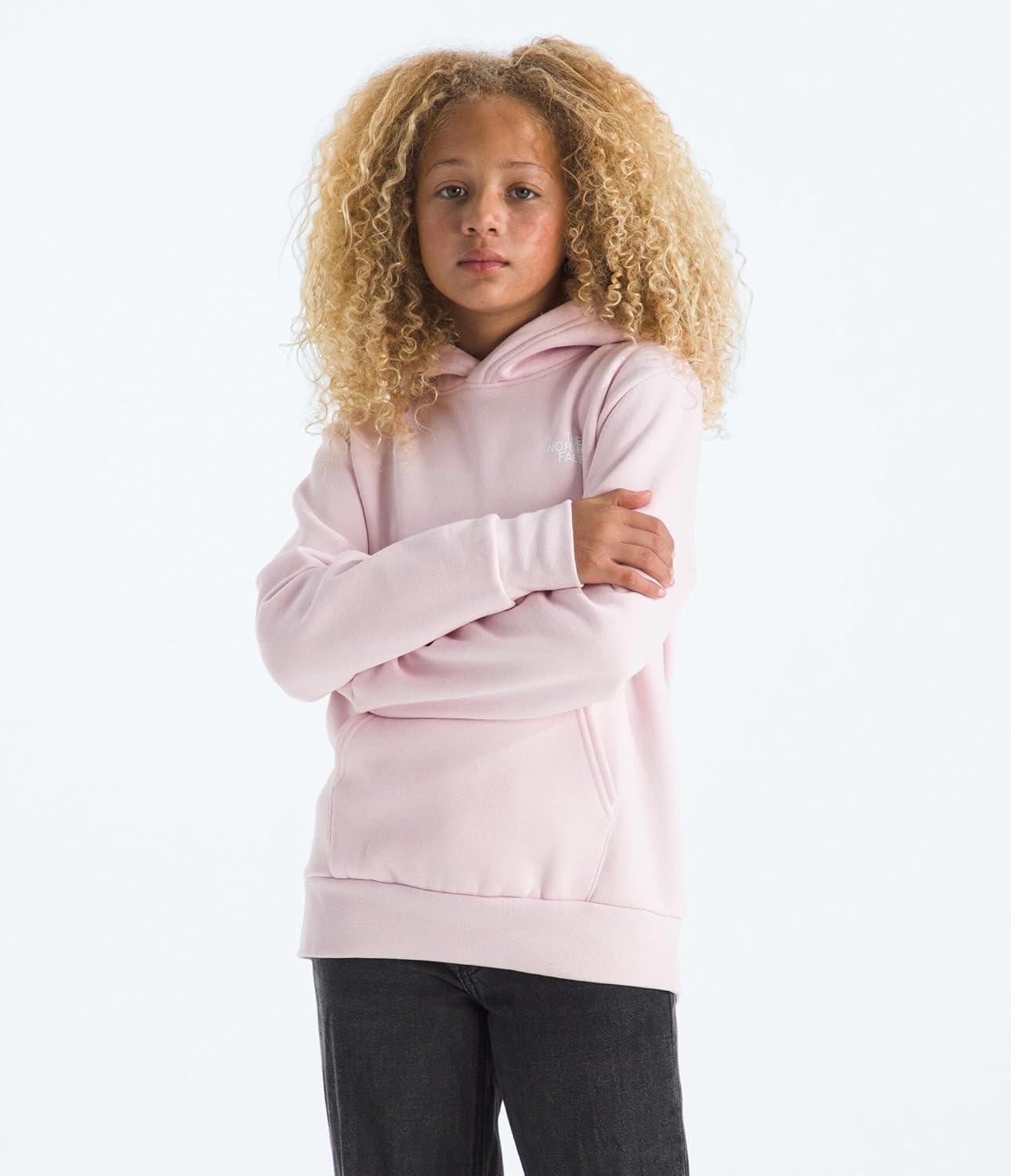 imageThe North Face unisexchild Evolution Box Nse Pullover Graphic HoodiePale BlossomLali Guran Regenerative Ink Print